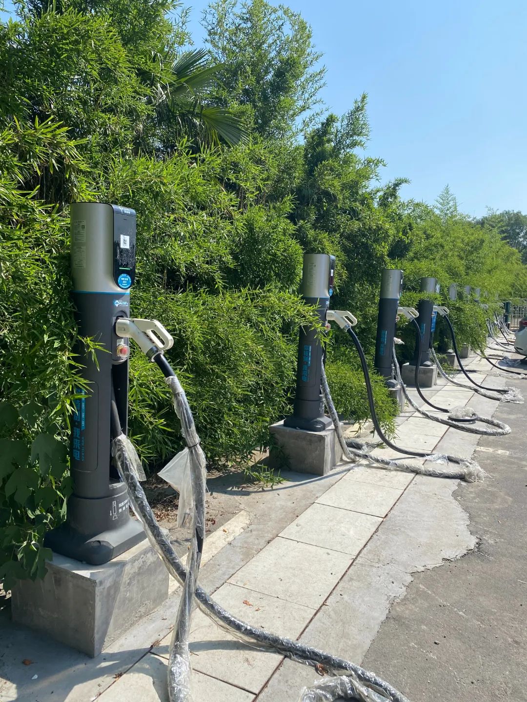 政府车队项目 - 中国试点